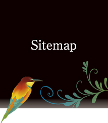 sitemap